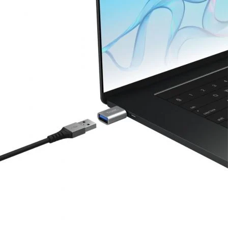 Trust Adaptador Calyx 2xUSB-C a USB-A Negro